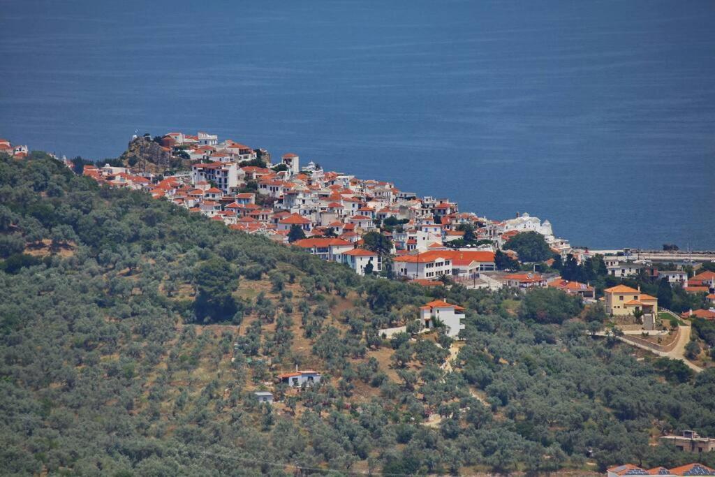 Villa Koukounaria Skopelos stad Exteriör bild